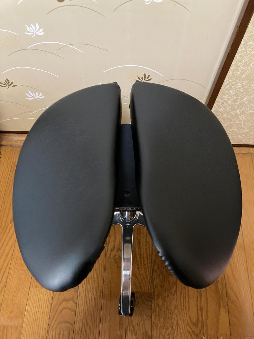 Salliチェアー[Salli Sway] ミドルタイプ（ブラック）