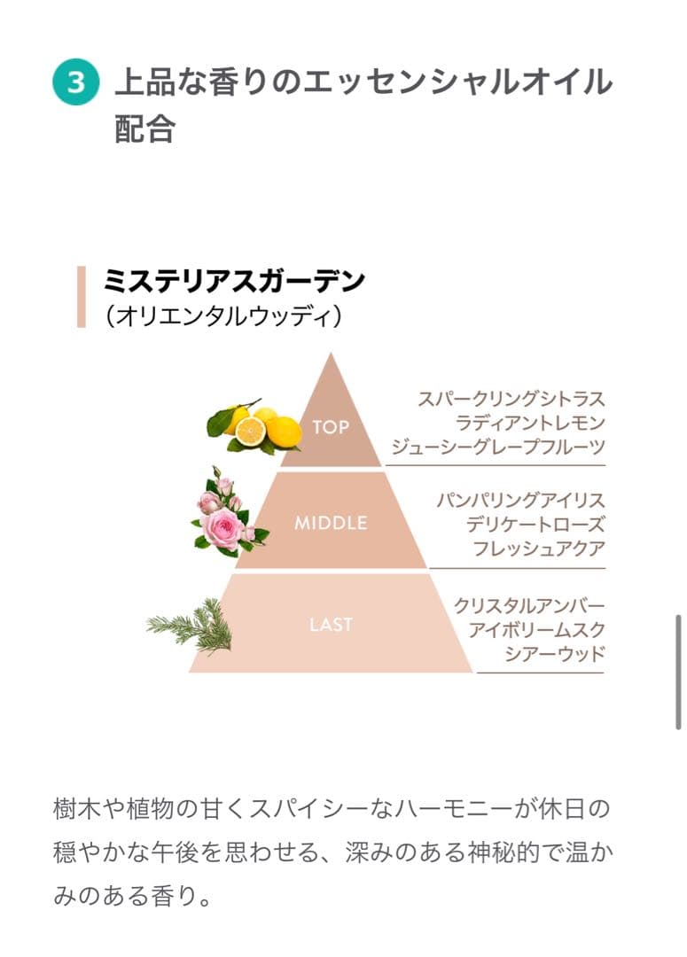 アムウェイ　シャンプー＆コンディショナー