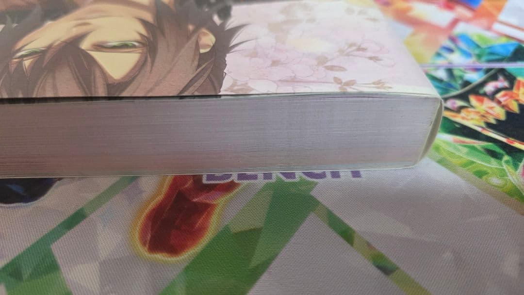 薄桜鬼 十周年記念本　～桜花爛漫～