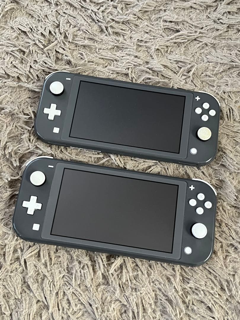 ⭐︎美品⭐︎Switch light グレー⭐︎2点セット