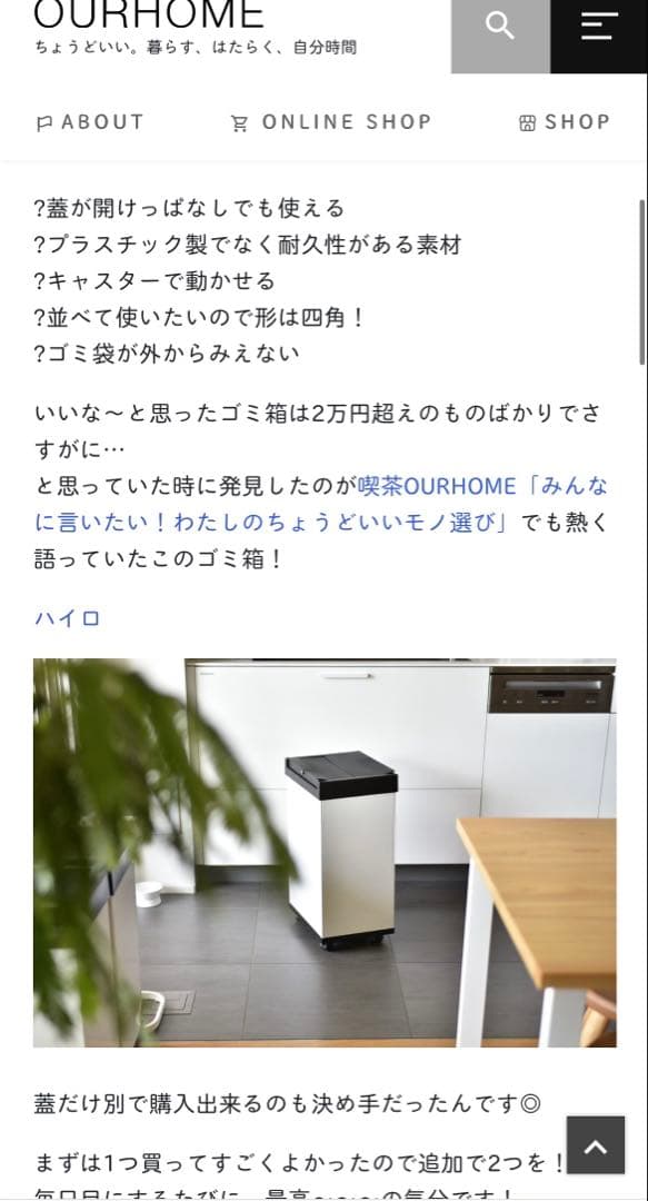 hailo ハイロ ニュービッグボックス60L ブラックゴミ箱キッチン