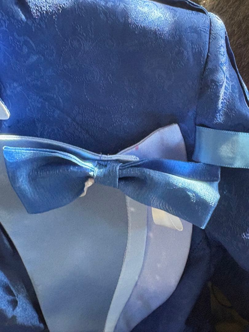 三分妄想 フリーナ Sサイズ ウィッグ付き