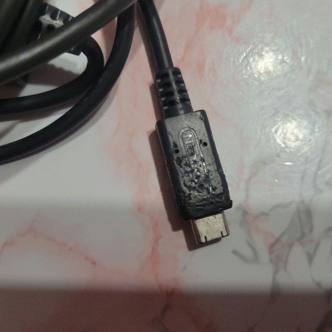 Nintendo　Switch　Lite　コーラルピンク　アダプターとカバー注意