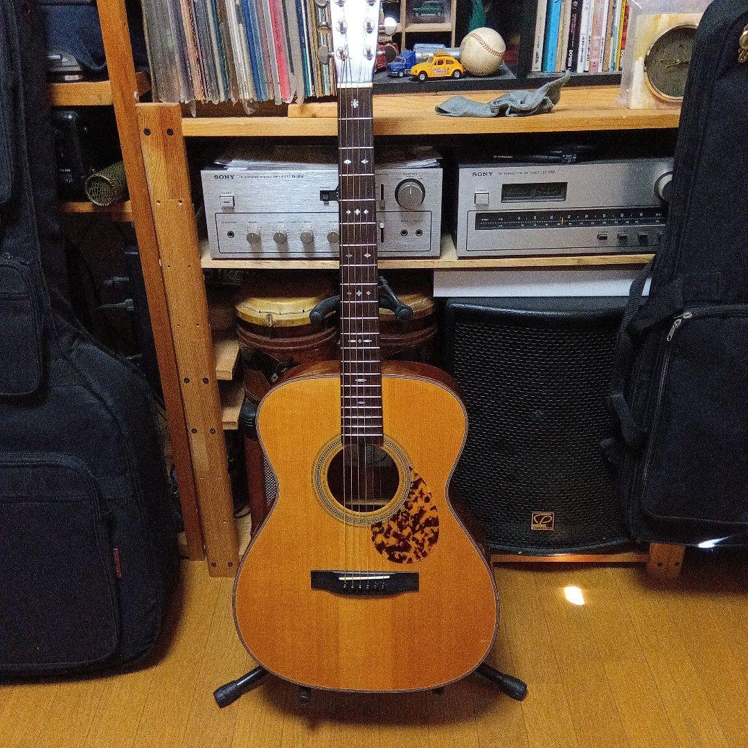 ヘッドウェイト HC F-500M アコースティックギター