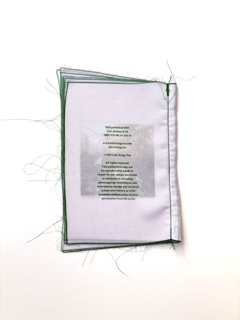 ZINE　Loh Xiang Yun　Organised scenery布写真集