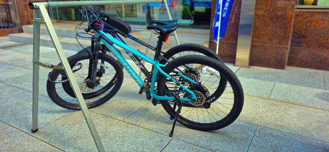 ROCKHOPPER EXPERT29インチ　Mサイズ⚠️説明欄⚠️引き取り限定