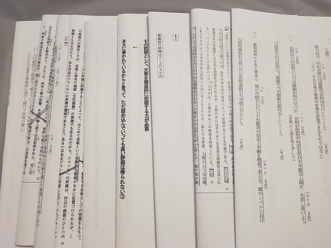 東進　東大特進　東大特進現代文　林修先生　23年　プリントフルセット　駿台河合塾