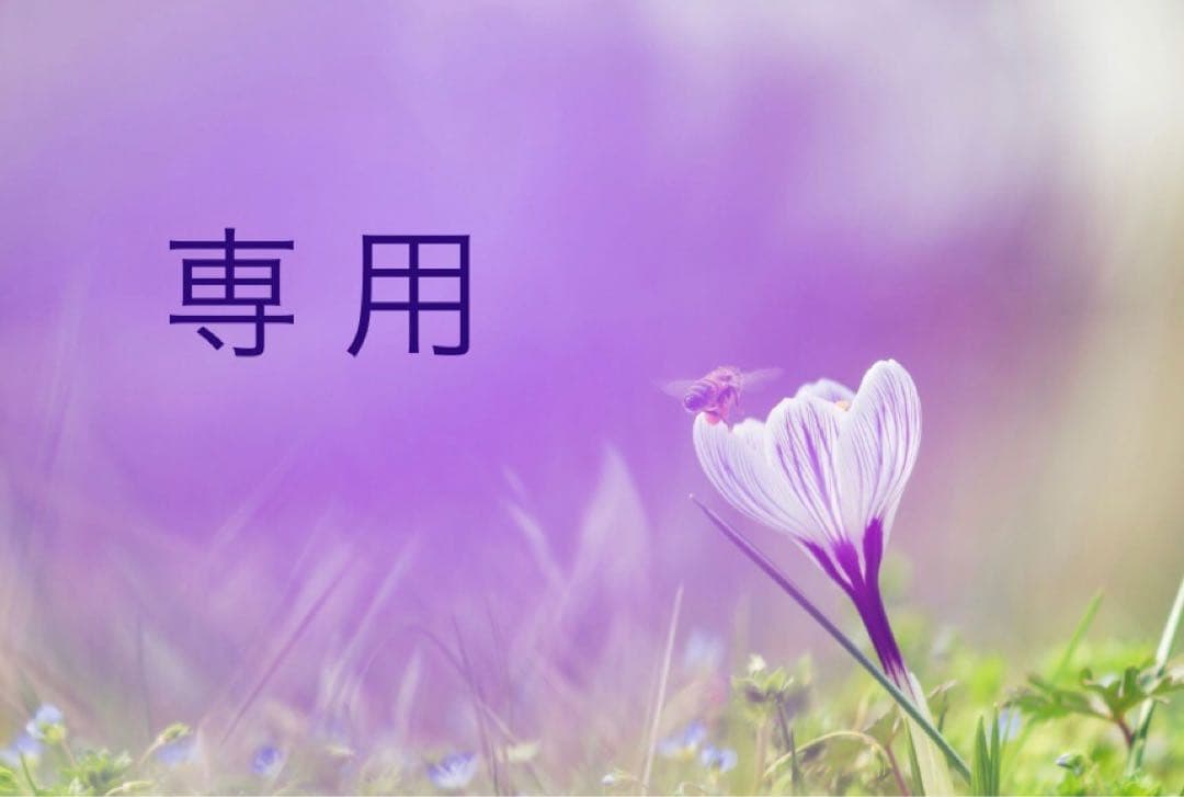 アルソア化粧品【セルローション　２本】