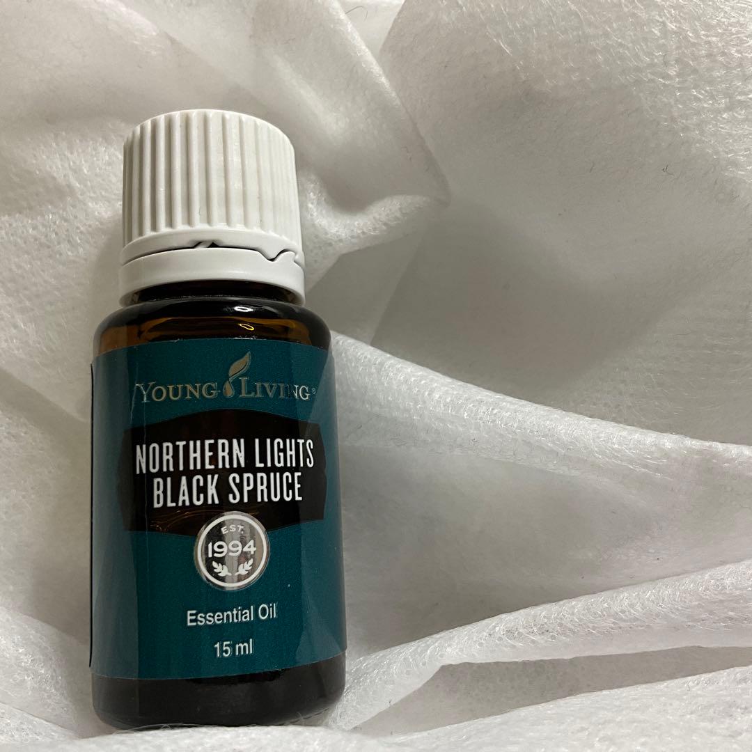 ノーザンライトブラックスプルース　ヤングリビング