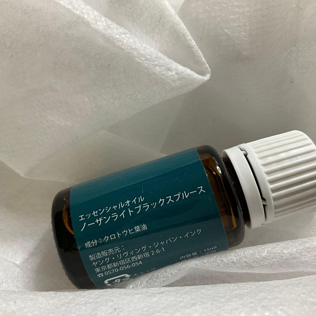 ノーザンライトブラックスプルース　ヤングリビング