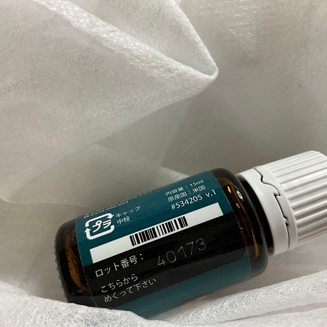 ノーザンライトブラックスプルース　ヤングリビング