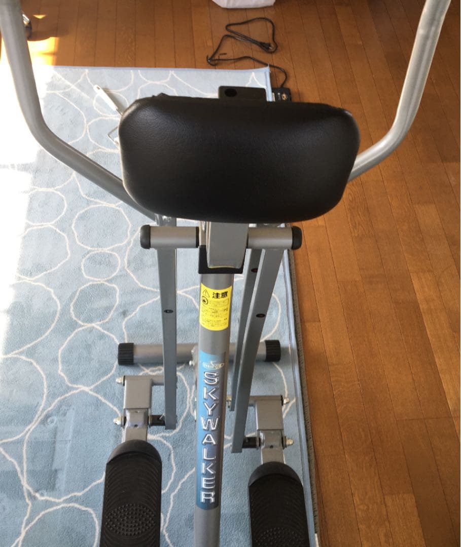 スカイウォーカー