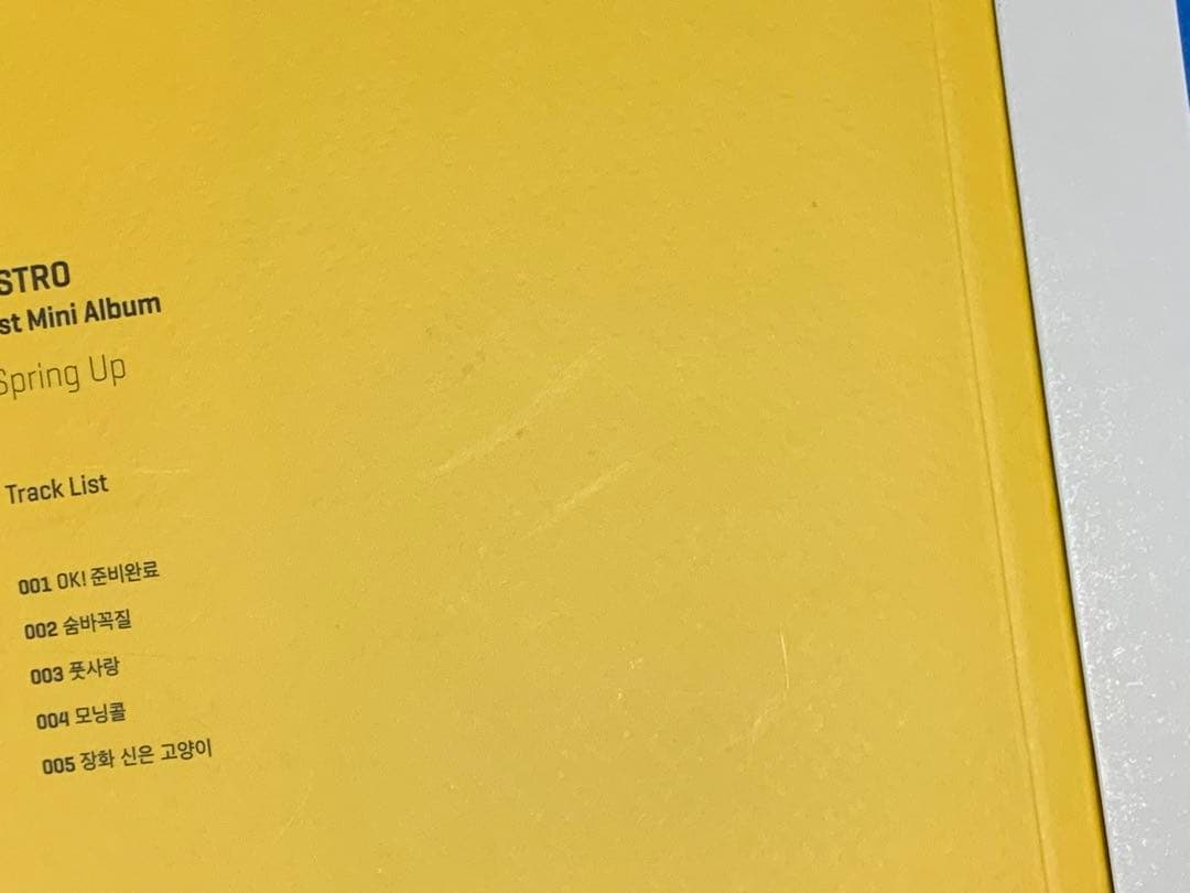 ASTRO アストロ Spring Up 直筆サイン入り アルバム