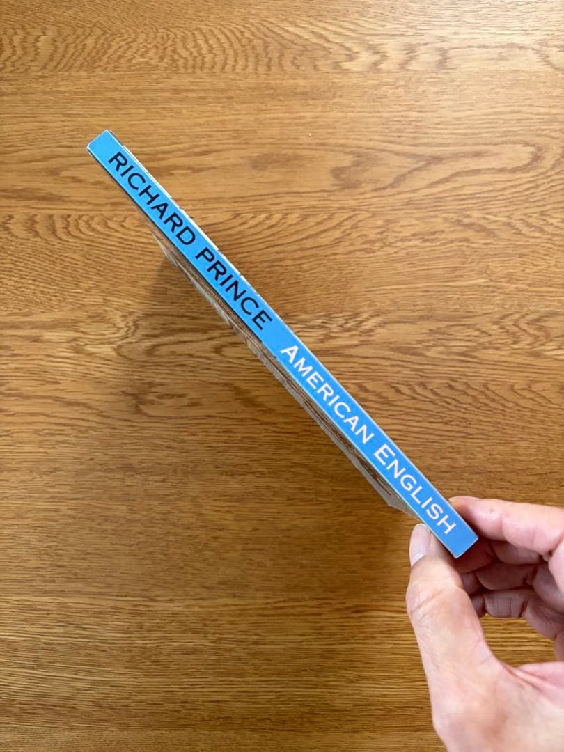 アート・デザイン・音楽 RICHARD PRINCE AMERICAN ENGLISH