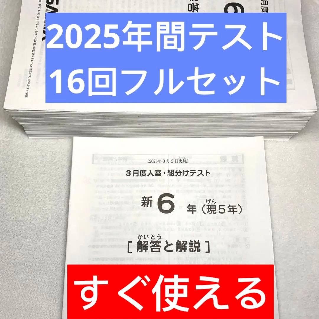 サピックス 6年 フルセット 3月 入室 組分け テスト 年間テスト 5年 美品