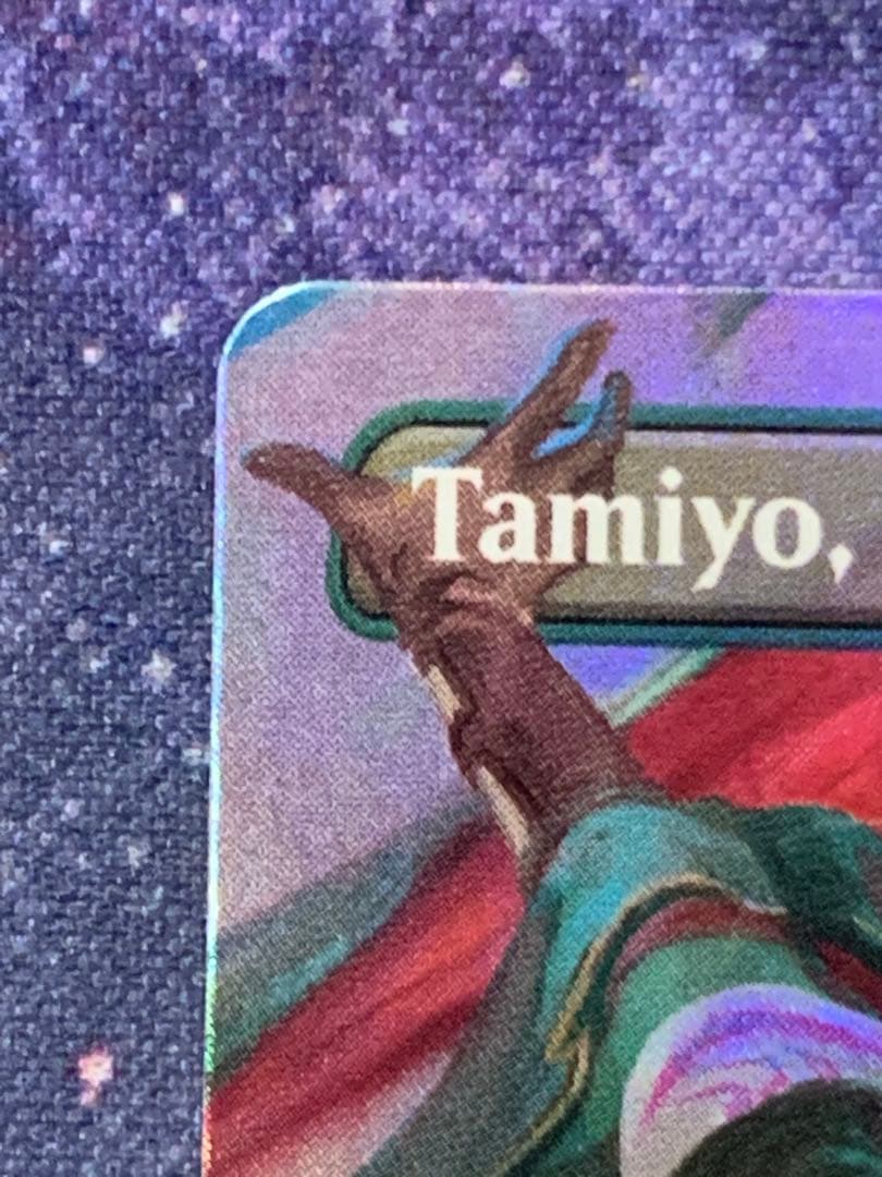 MTG 知りたがりの学徒、タミヨウ 英語 Foil プレブ産　ボーダーレス