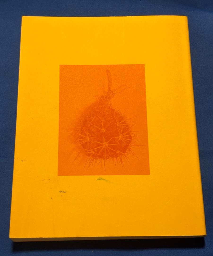 ロータススクリプトプログラミング入門 / 中村 隆治 / オーム社　平成8年発行