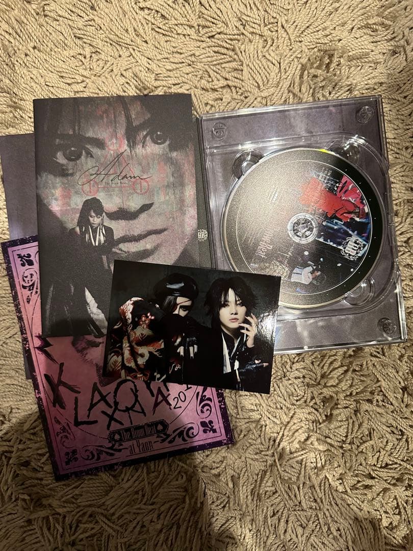 The Brow Beat ♡ DVD・アルバムセット