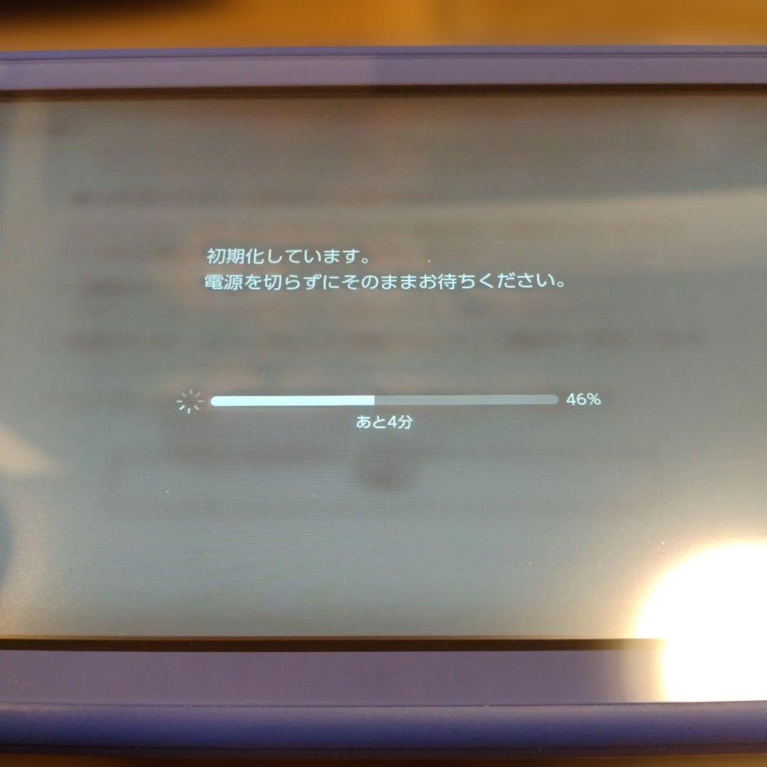 や*ん様 ニンテンドーSwitchライト（本体のみ）ハードケースと保護フィルム付