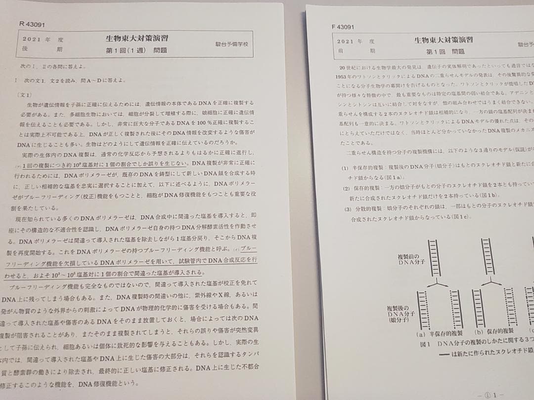 駿台による生物東大対策演習問題解答フルセット　難関大生物向け　鉄緑会　河合塾東進