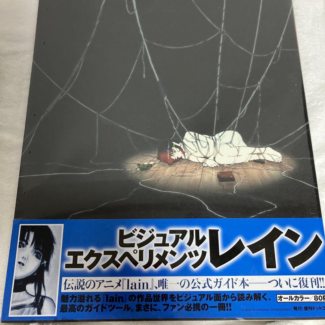 ビジュアルエクスペリメンツレイン　書籍2冊セット