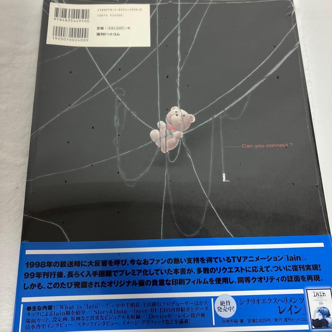ビジュアルエクスペリメンツレイン　書籍2冊セット