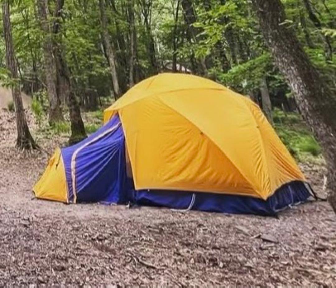 REI GEO6 ビンテージ幕