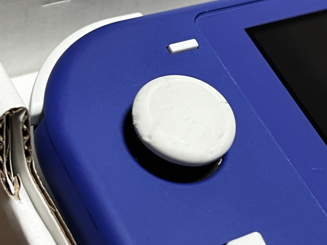 Nintendo Switch Lite 青 充電器・ケース付き