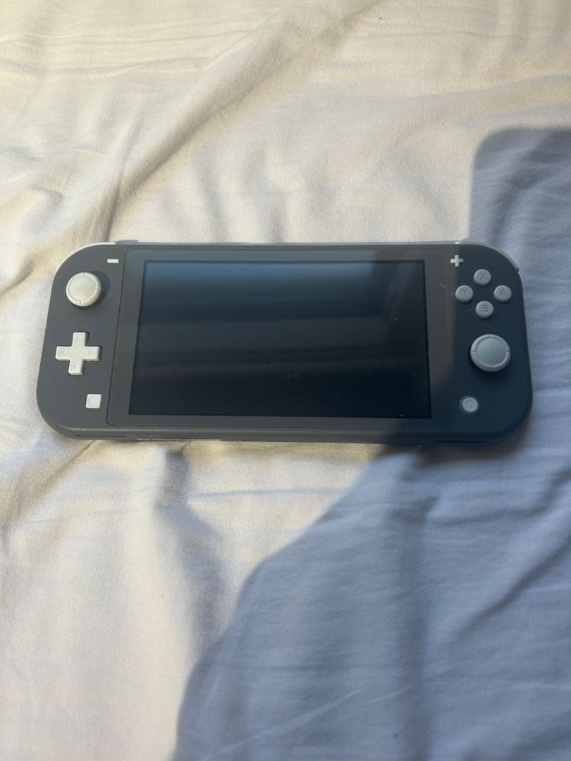 Nintendo Switch Lite グレー 本体　付属品完備