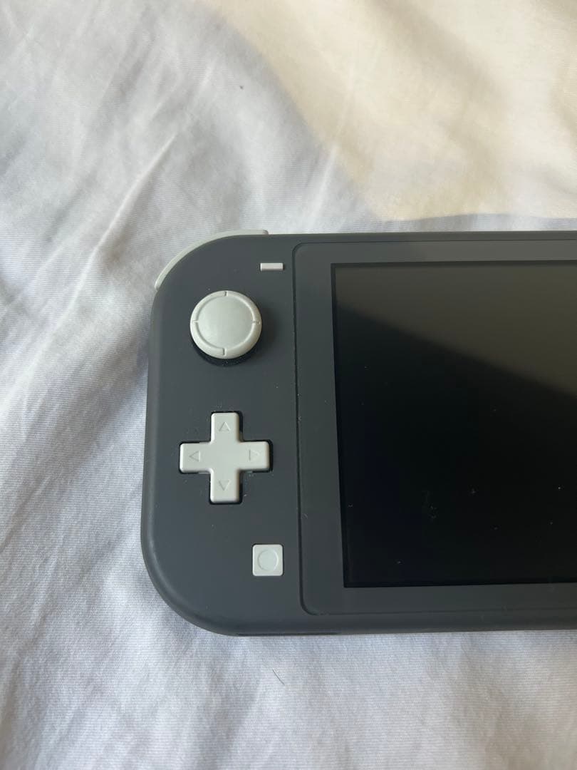 Nintendo Switch Lite グレー 本体　付属品完備