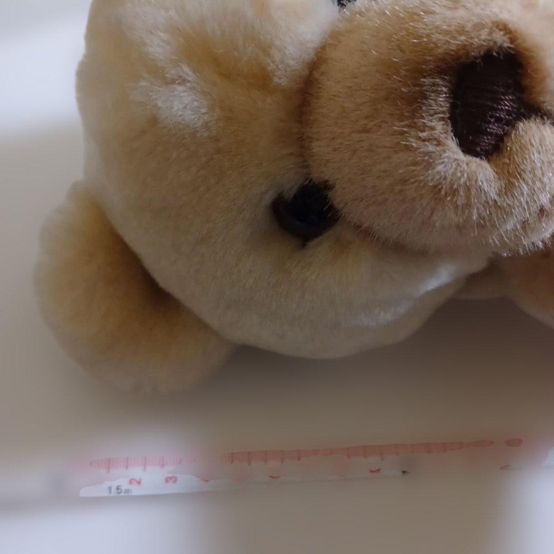 シュタイフ　テディベア　ぬいぐるみ　ペッツィー　Petsy　タグ付き　可動式