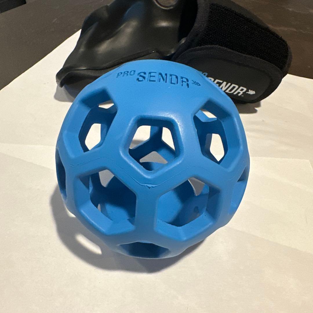 【ゴルフ練習器具】ヤマニ ProSENDR プロセンダー