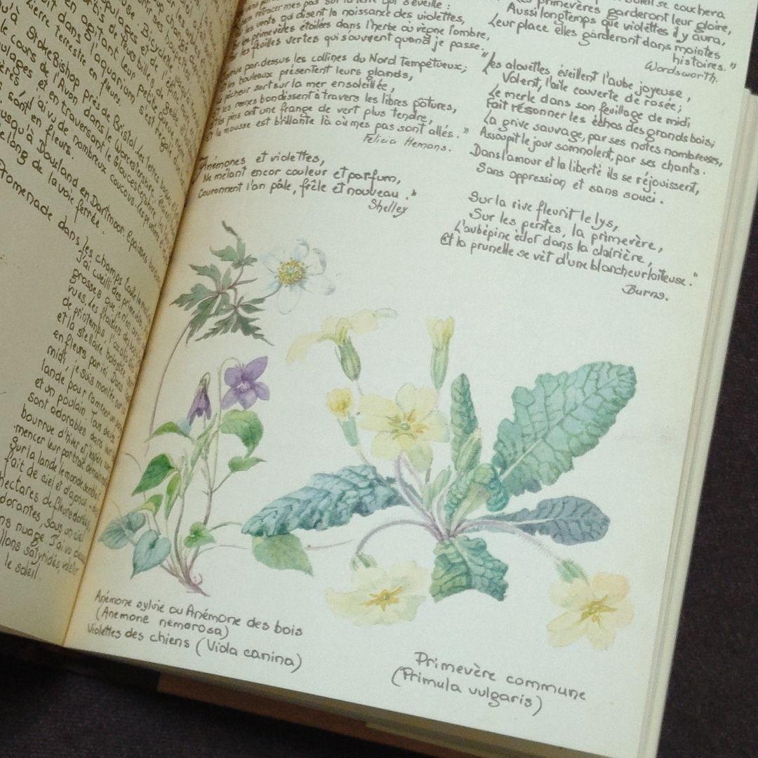 洋書　edith holden　イーディス•ホールディン　カントリーダイアリー