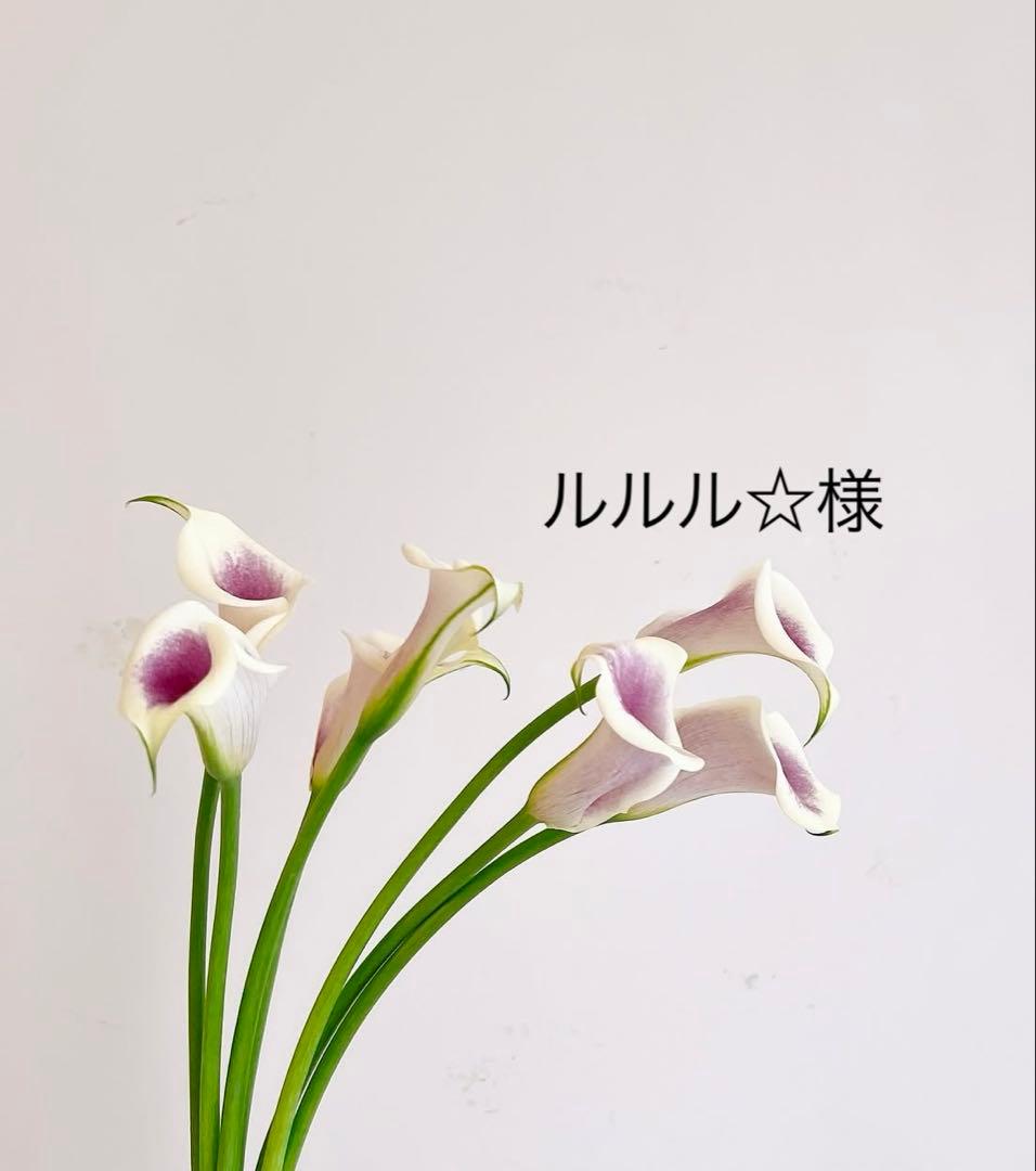 ルルル☆品　おまとめ