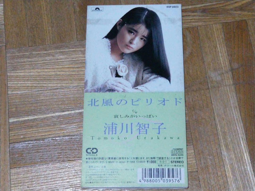 浦川智子 北風のピリオド 天野滋