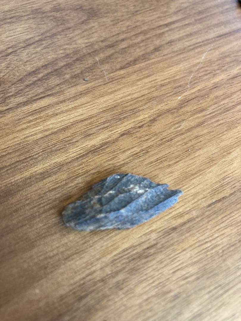 香木 沈香　シャム　5.1g