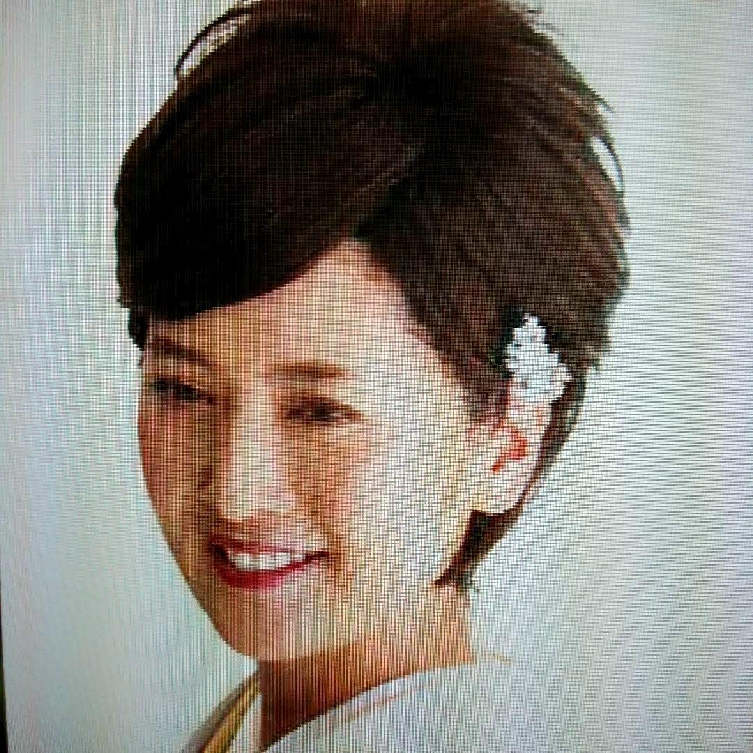 JOジュリアオージェ アートネィチャー 手ぐしで簡単スタイリング高品質ウィッグ