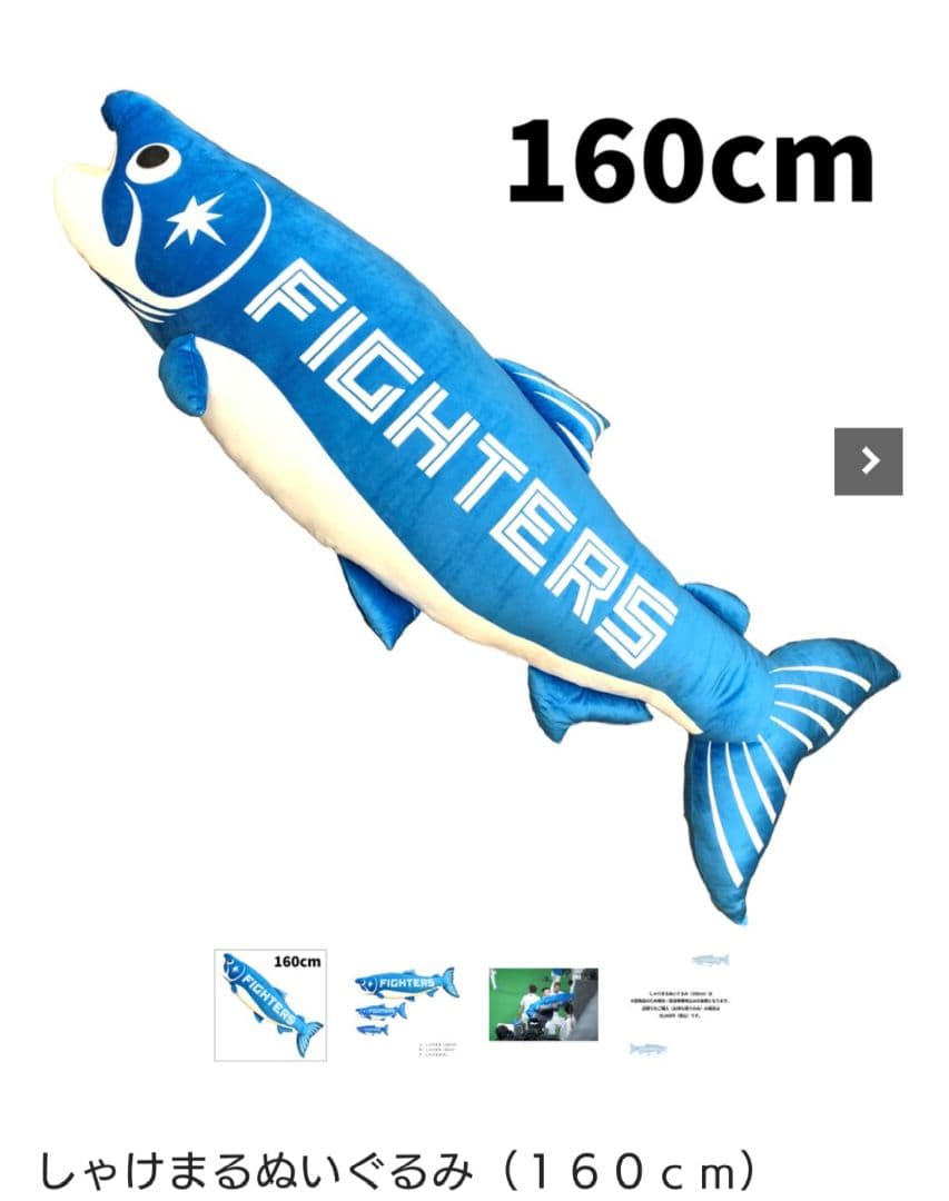 非売品☆しゃけまるぬいぐるみ160cm北海道ぎょれんコラボver. 配布ユニ付