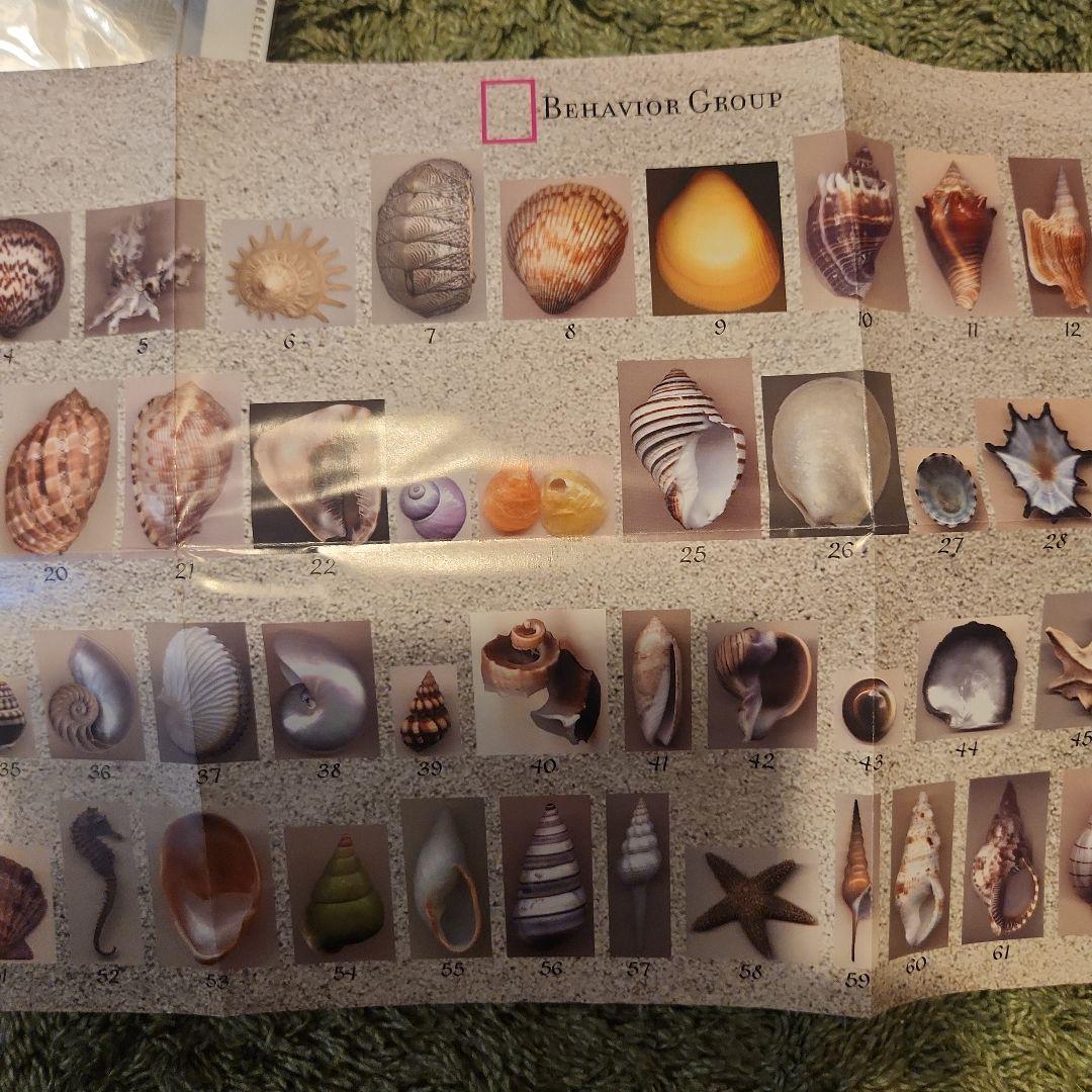 趣味・スポーツ・実用 Ocean Oracle