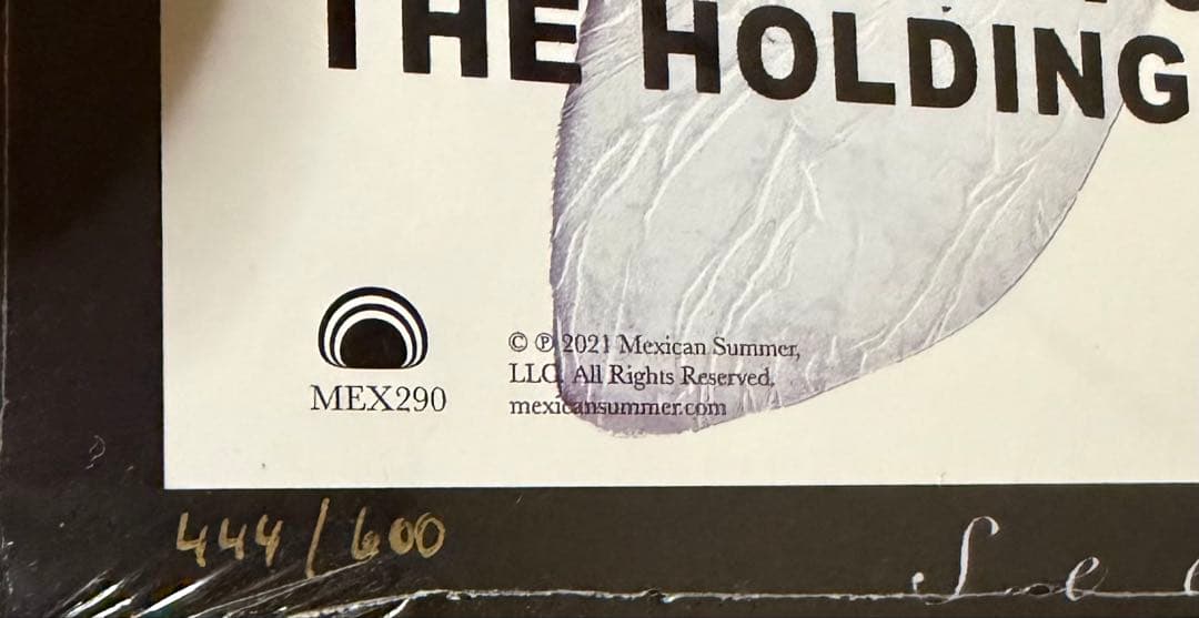 Iceage – Seek Shelter Dinked Edition LP