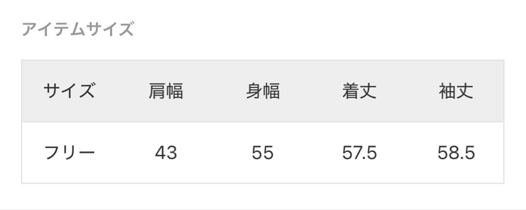 【Spick and Span】ストレッチジップフードパーカー グレー