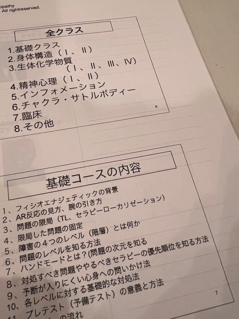 フィシオエナジェティック ( アプライドキネシオロジー カイロ オステオパシー