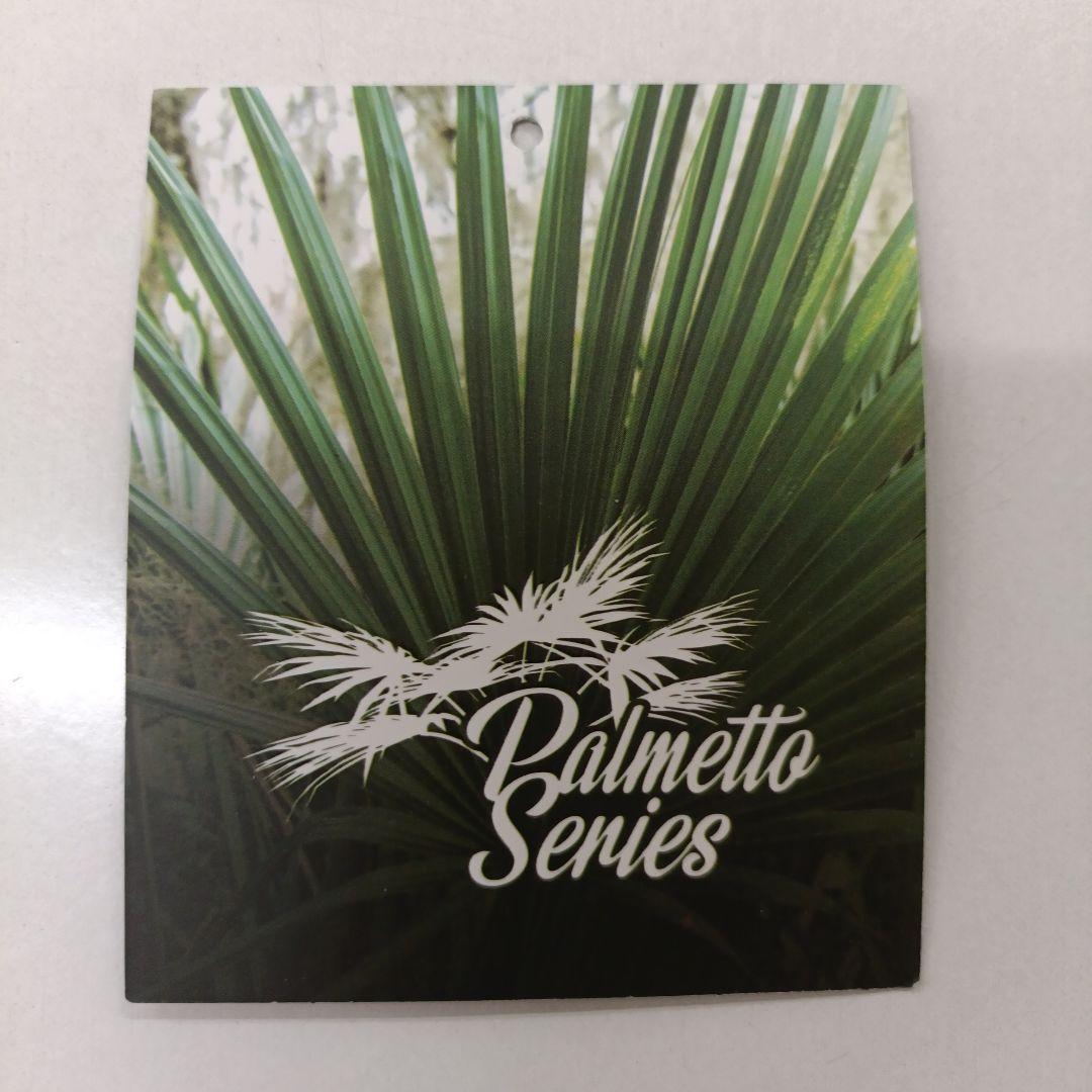 新品未使用 marucci マルッチ 内野手 グローブ 一般