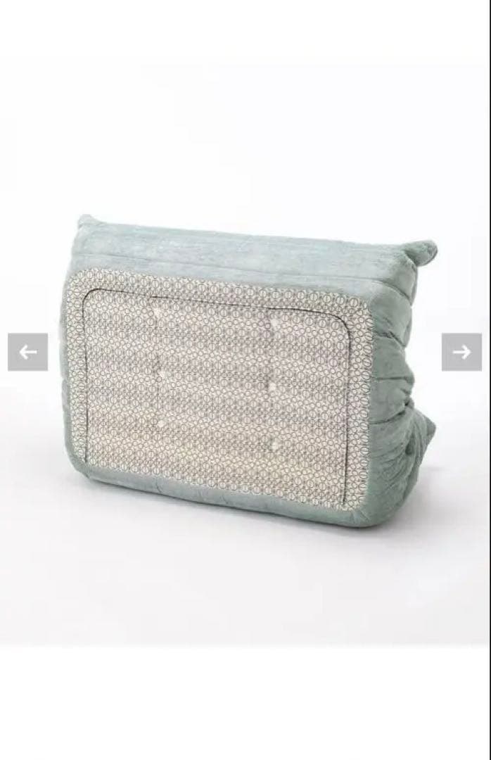 SALE❗️ligne roset ROSETTOGO 2P グリーン　ブルー