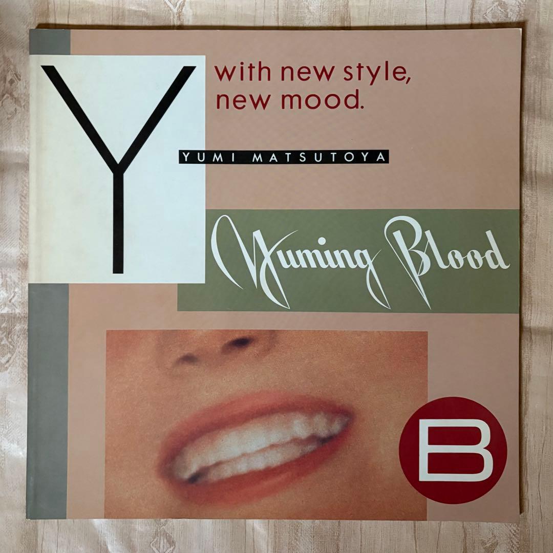 松任谷由実 ユーミン パンフレット まとめ売り