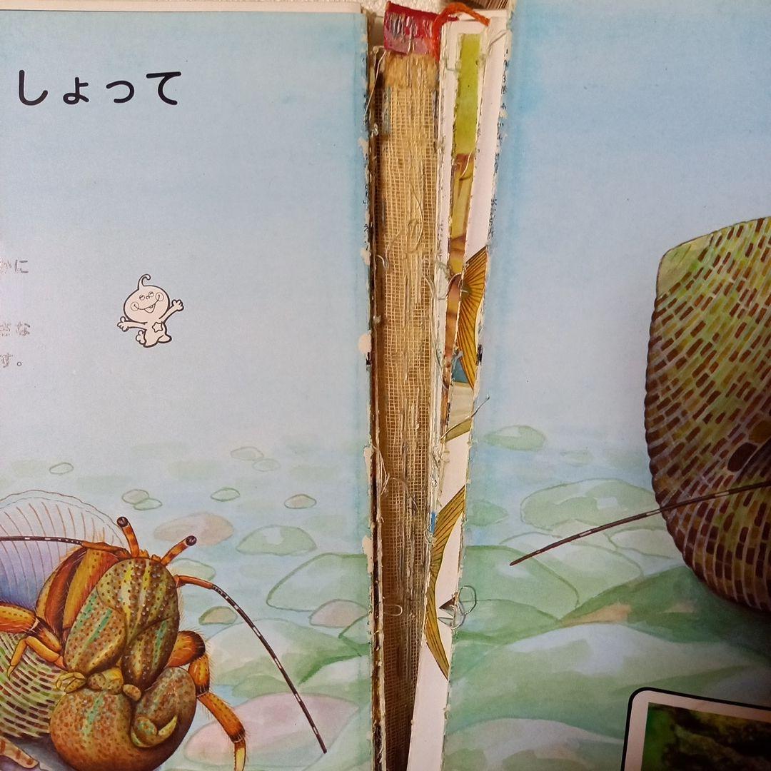 なぜなぜチュータ 　1～15巻　幼児　低学年　本