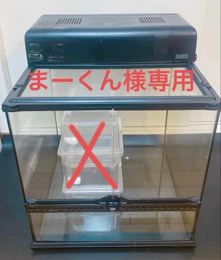 まーくん　 グラステラリウム4545 コンパクトトップ　セット