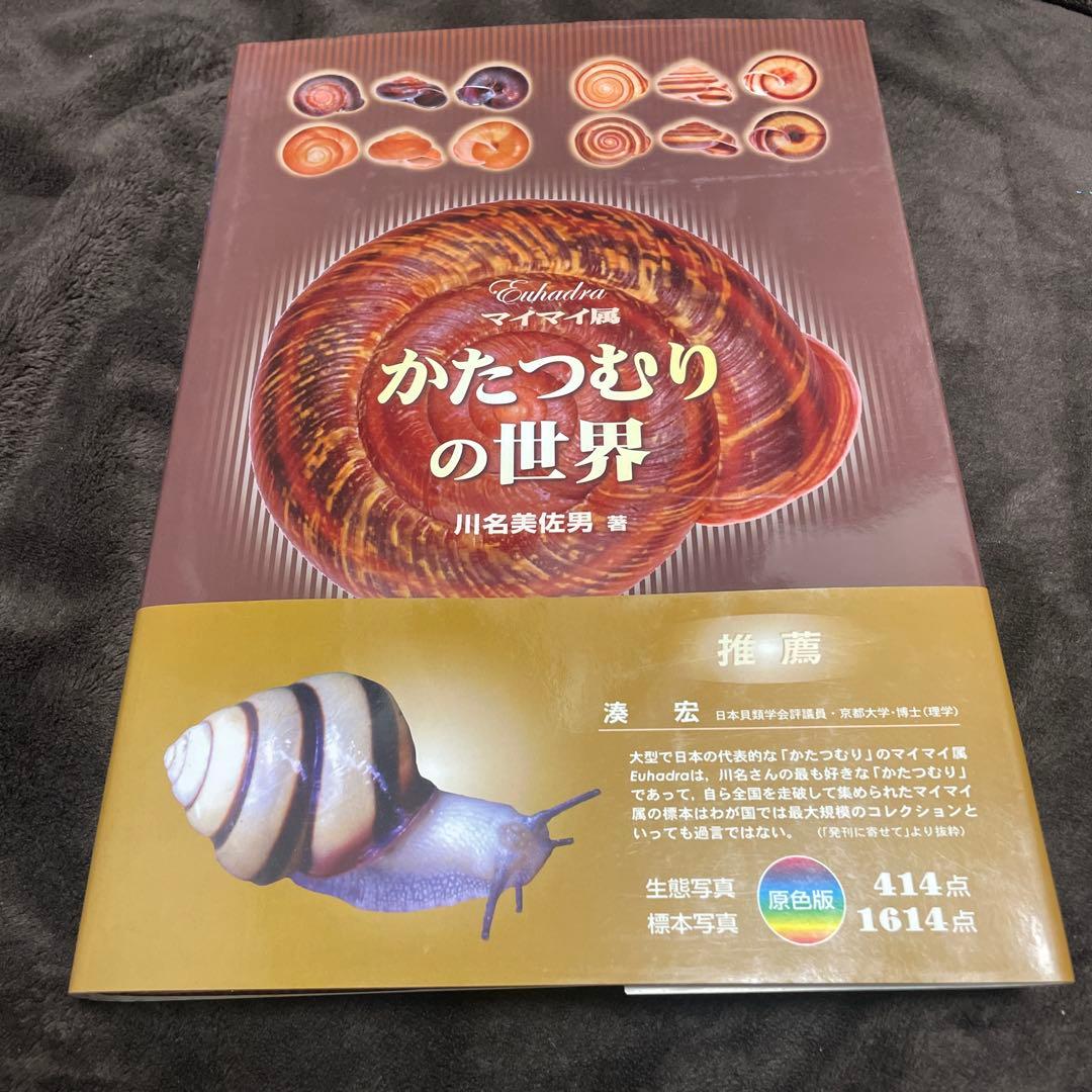 かたつむりの世界 マイマイ属