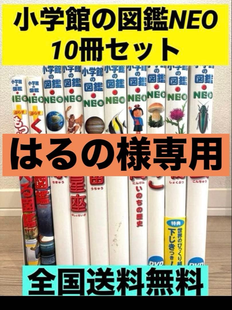 はるの　まとめ買い