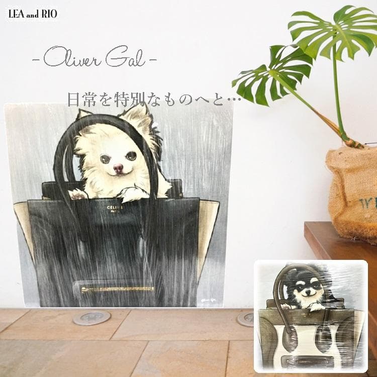 Oliver Gal -オリバーガル - 絵画 アートパネル OG71 72-4